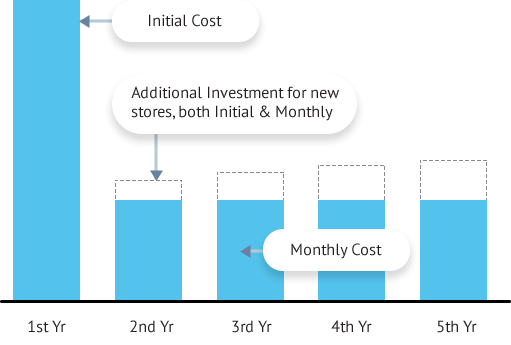 Common IT Investment Model